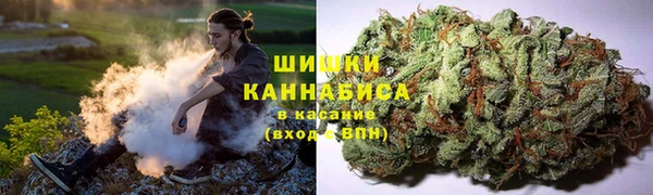 мескалин Инта